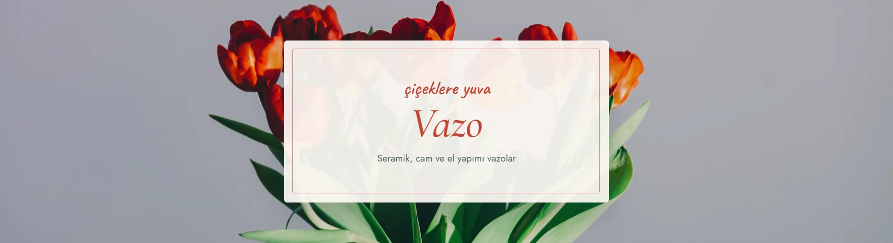 Vazo