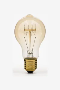 Altın Tonlu Vintage Edison Ampul
