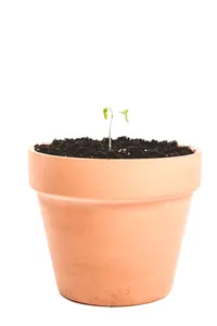 Kiremit Pişmiş Toprak Saksı