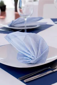 Mavi Kareli Dokuma Peçete